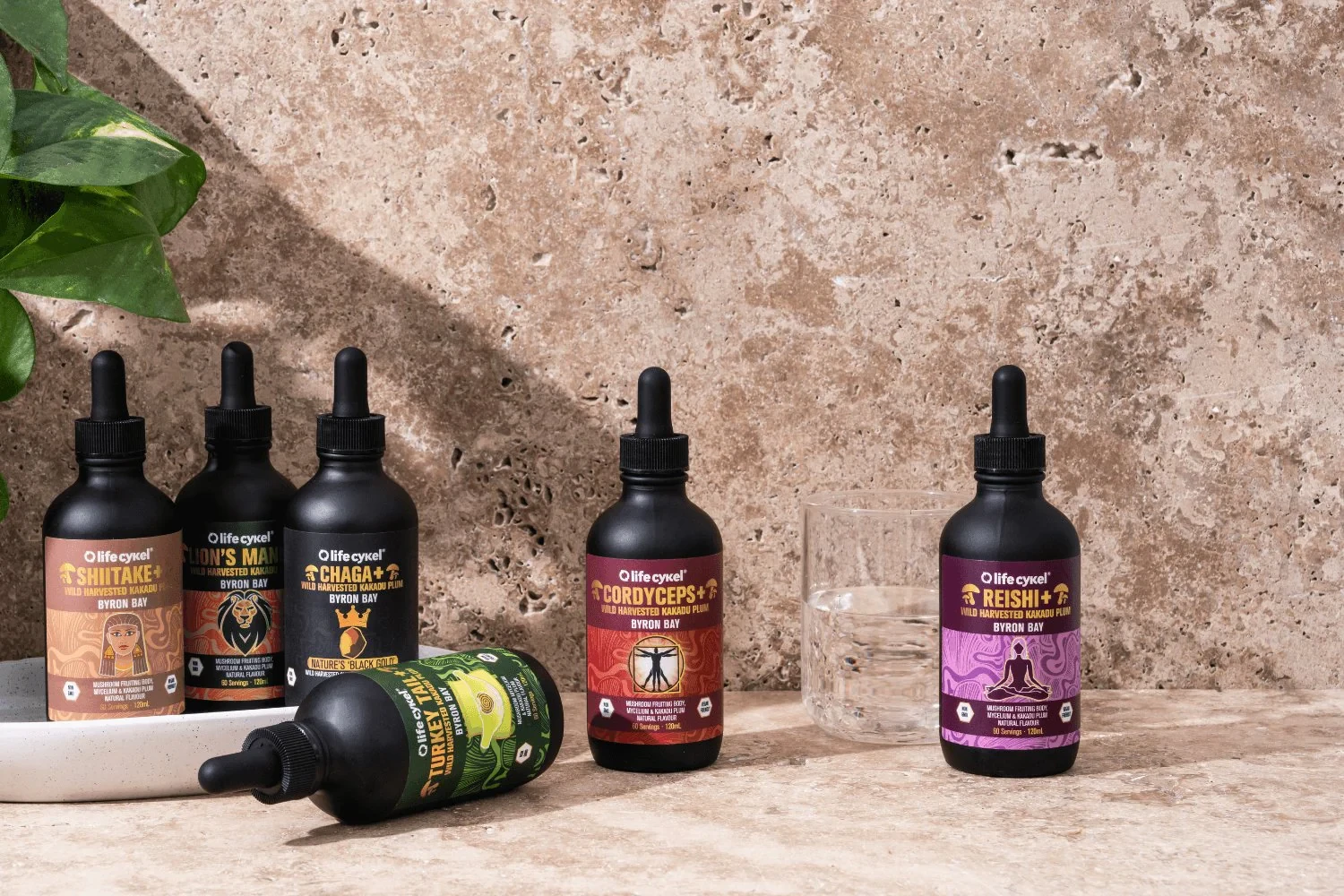 Lifecykel Promo Code