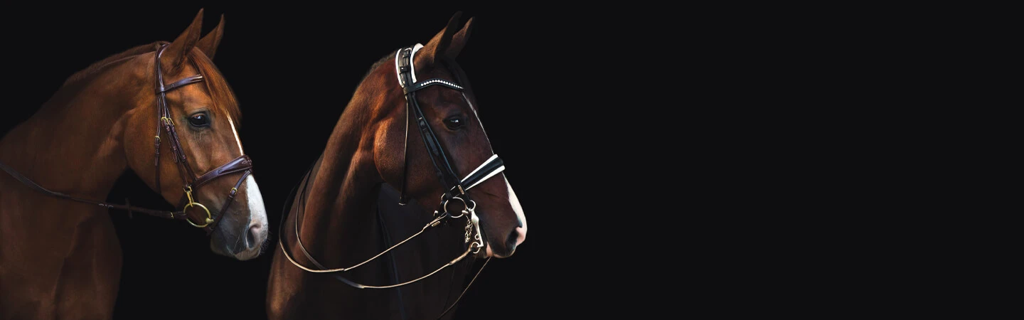 Royal Equestrian Discount Code — 15% Off (PRELUV) Jun 2026