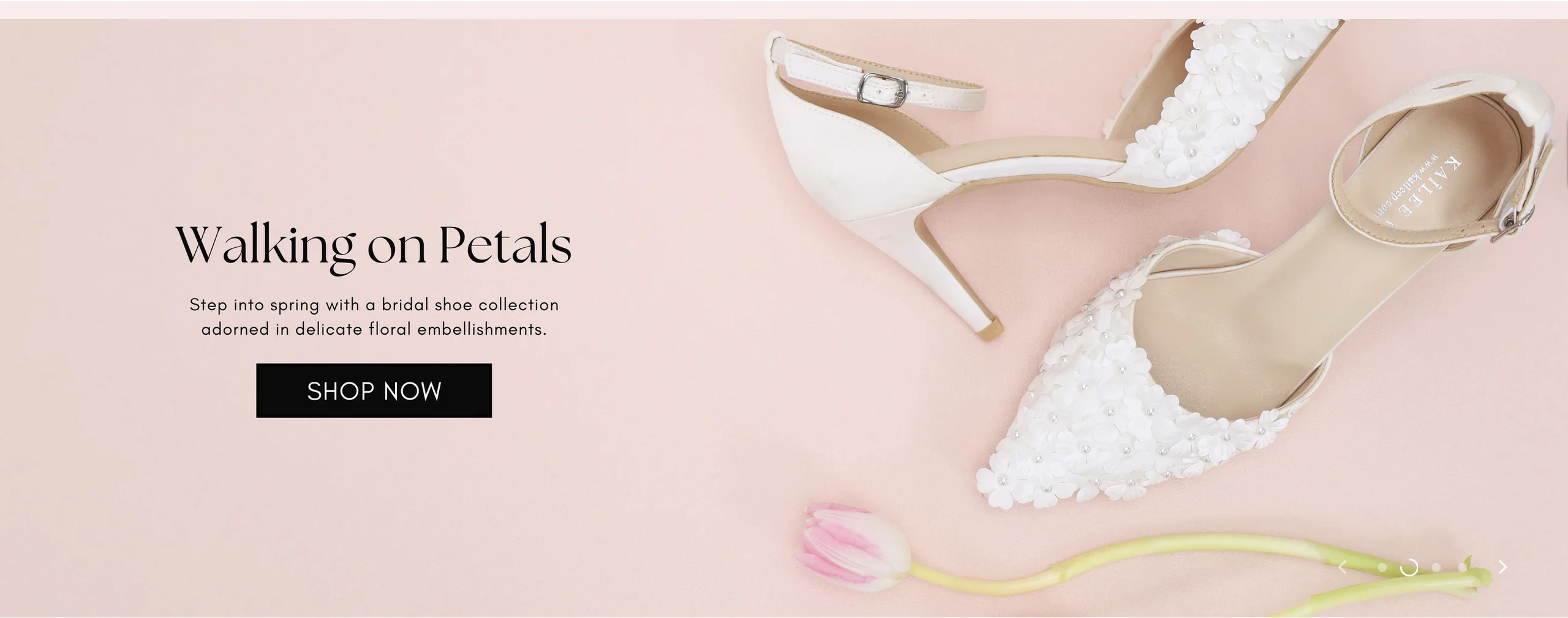 KAILEE P Promo Code - 15% off (ZEE) ||updated_date||