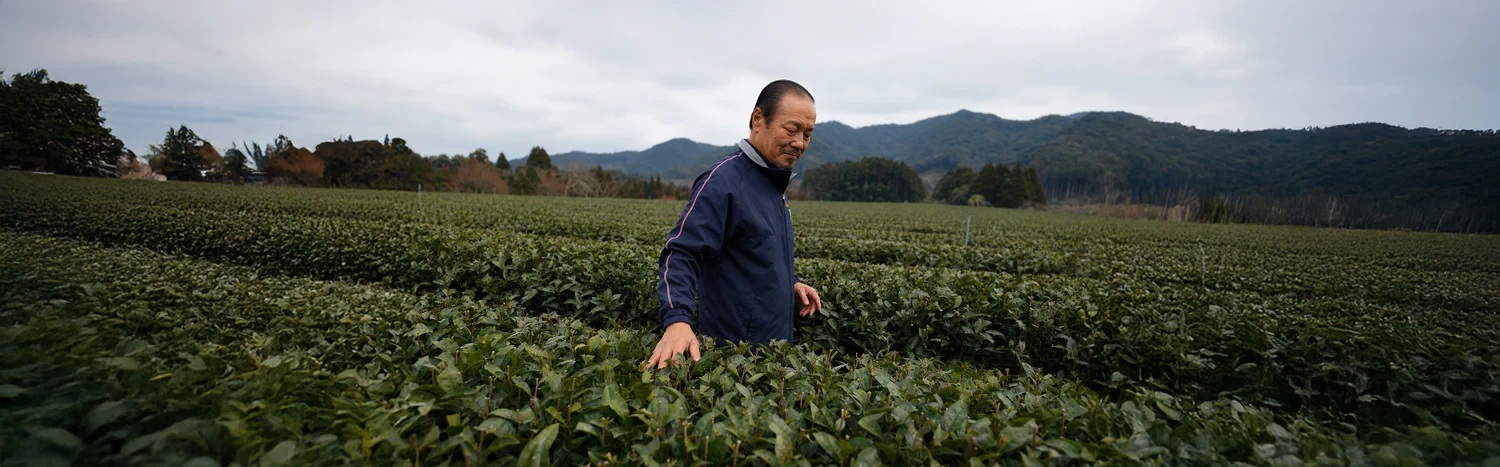 Nio Teas Promo Code – 5% off (PRELUV) ||updated_date||