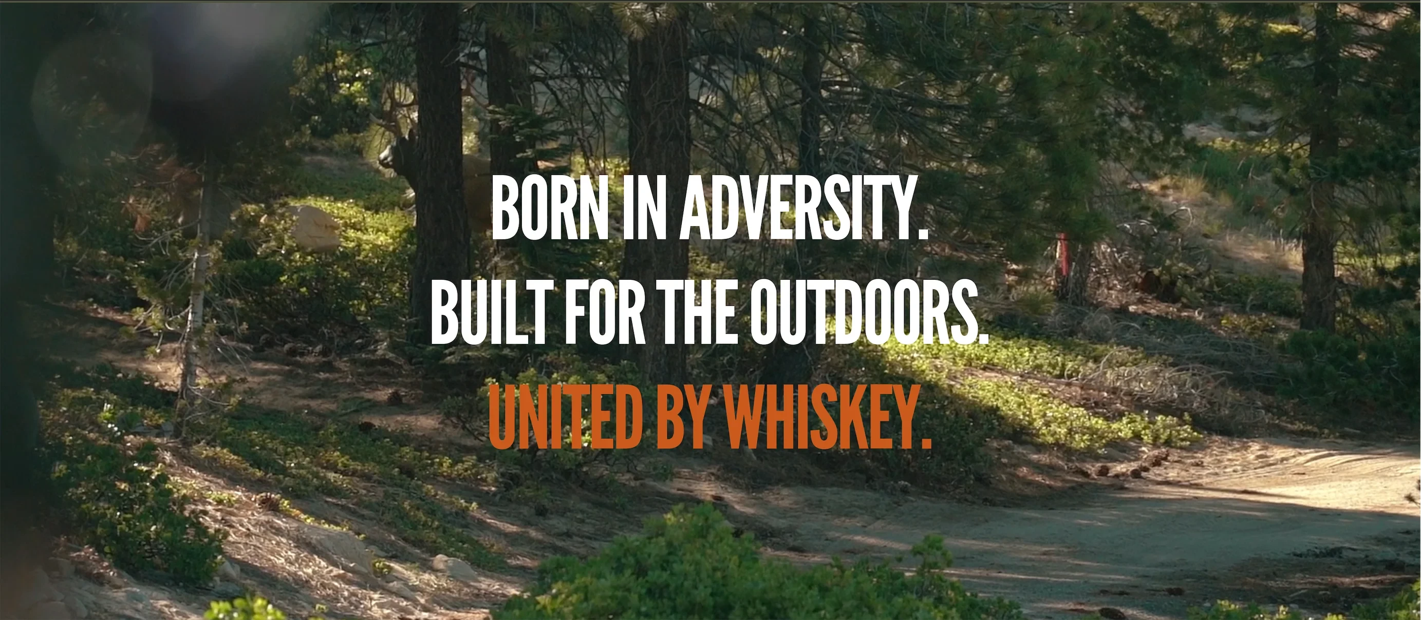 Team Whiskey Promo Code — 10% off (PRELUV10) June 2026